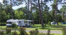 Camperplaats 2567389 in Oostappen Boschbeek